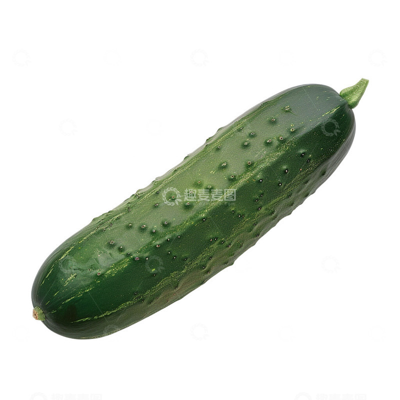 高清大图下载【趣麦麦图】小黄瓜蔬菜植物