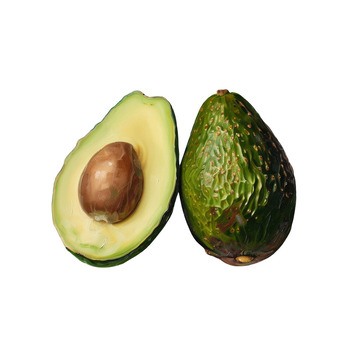 手绘牛油果水果照片