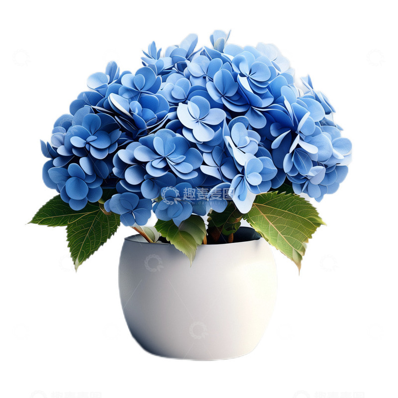 高清大图下载【趣麦麦图】3D立体真实蓝色绣球花朵盆栽植物