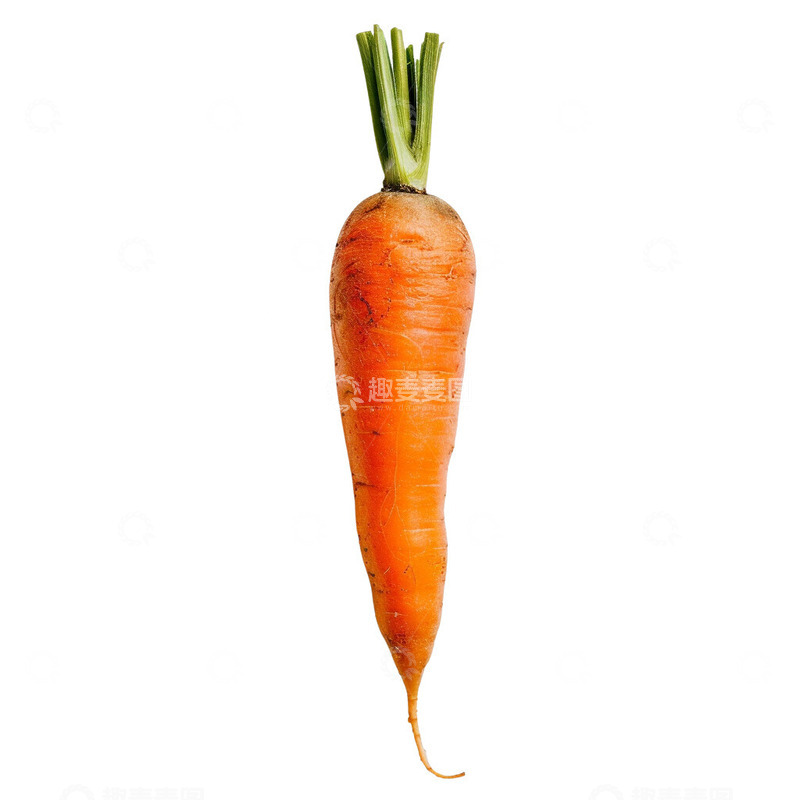高清大图下载【趣麦麦图】-萝卜胡萝卜蔬菜2