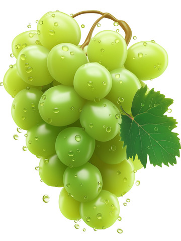 青葡萄卡通水果2