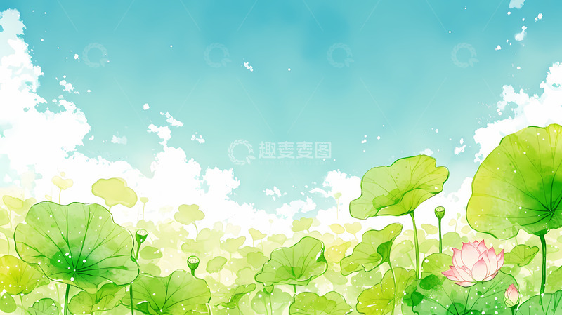 高清大图下载【趣麦麦图】晴天下的荷花与荷叶