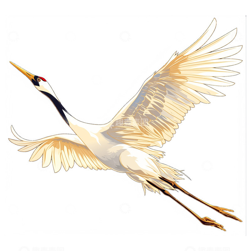 高清大图下载【趣麦麦图】国风仙鹤起飞动作卡通手绘风格素材