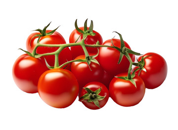 西红柿特写果实