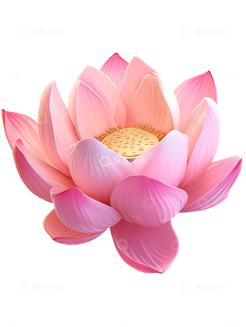高清大图下载【趣麦麦图】粉色荷花植物