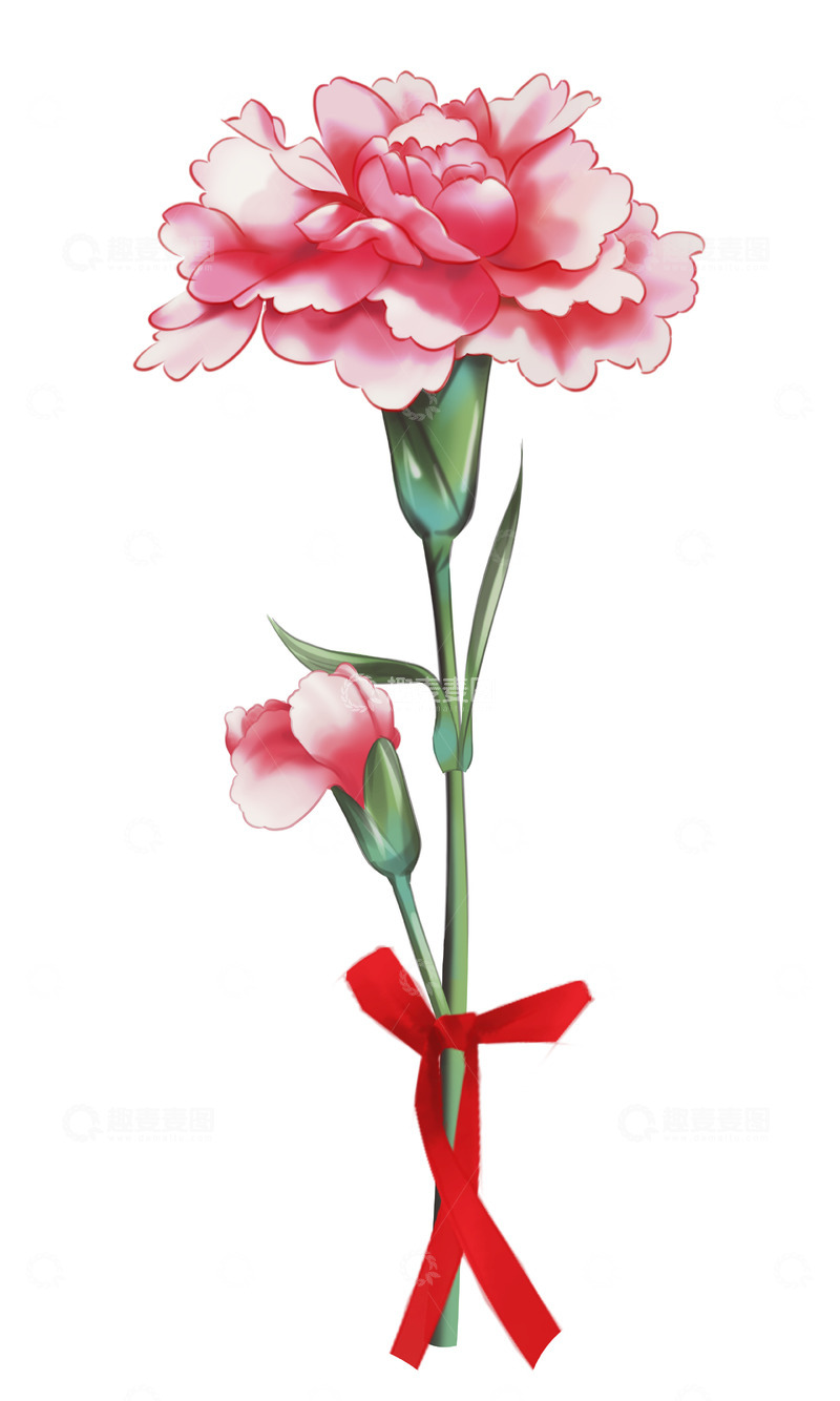 源文件下载【趣麦麦图】母亲节康乃馨花束