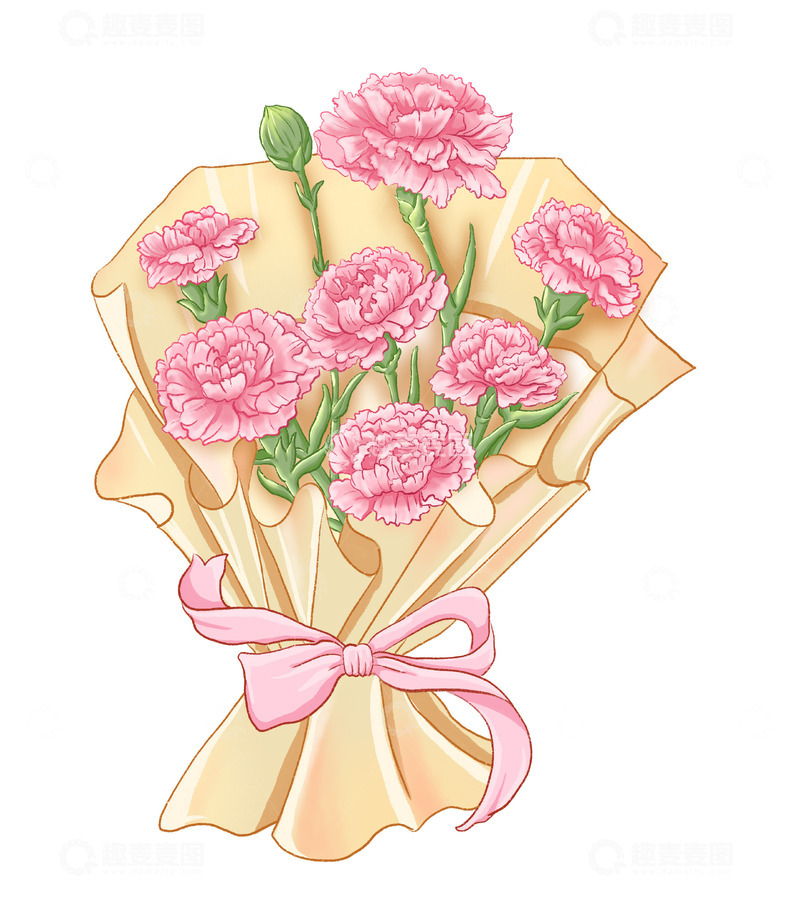 源文件下载【趣麦麦图】-康乃馨花束鲜花手绘插画母亲节