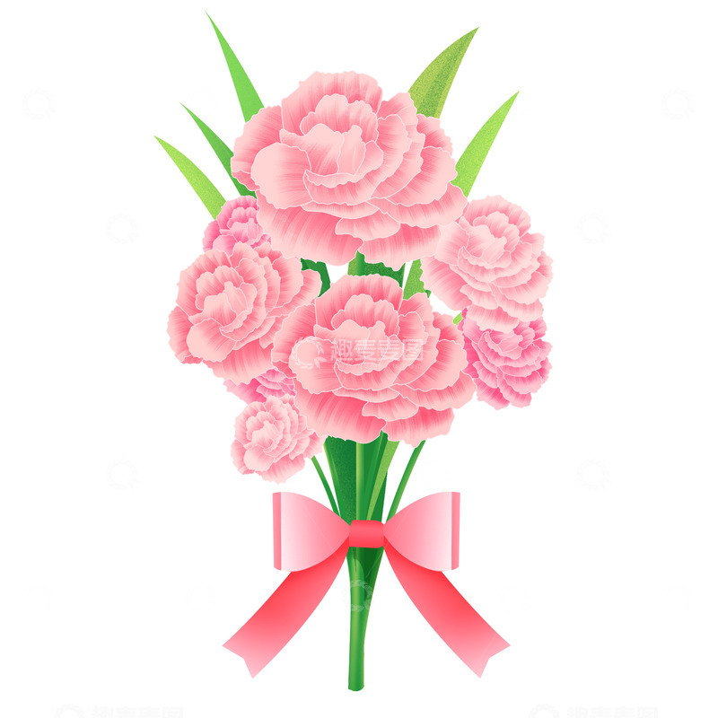 源文件下载【趣麦麦图】一束淡粉色康乃馨元素