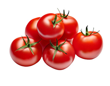 新鲜西红柿元素