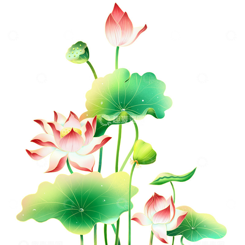 源文件下载【趣麦麦图】国风夏季荷花元素