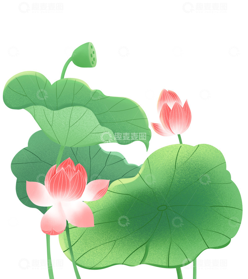 源文件下载【趣麦麦图】夏季手绘荷花