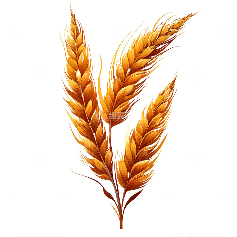 高清大图下载【趣麦麦图】麦穗植物农作物秋收