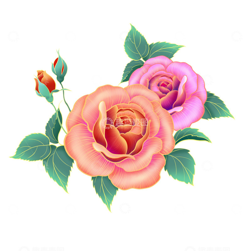 源文件下载【趣麦麦图】美丽的玫瑰花