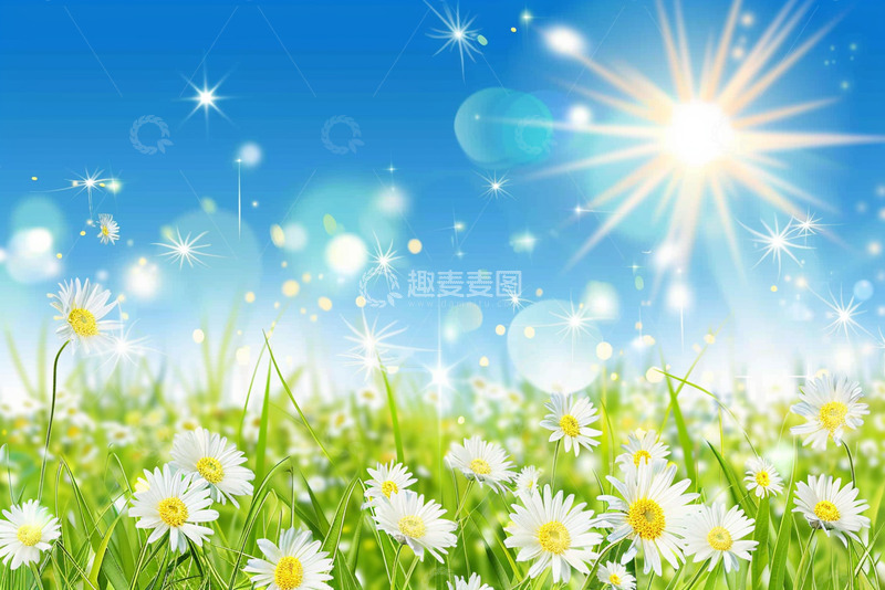 高清大图下载【趣麦麦图】蒲公英花朵天空背景