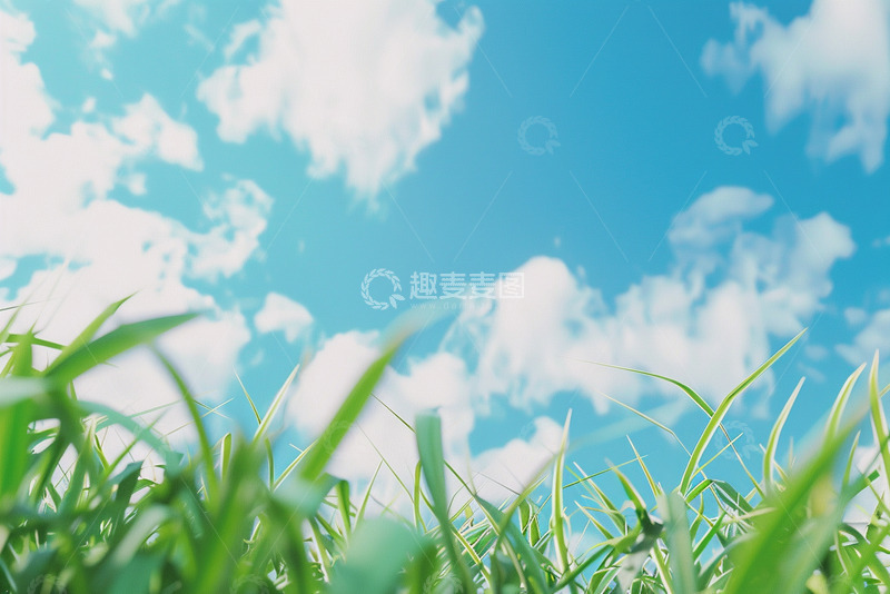 高清大图下载【趣麦麦图】青草地蓝天白云背景