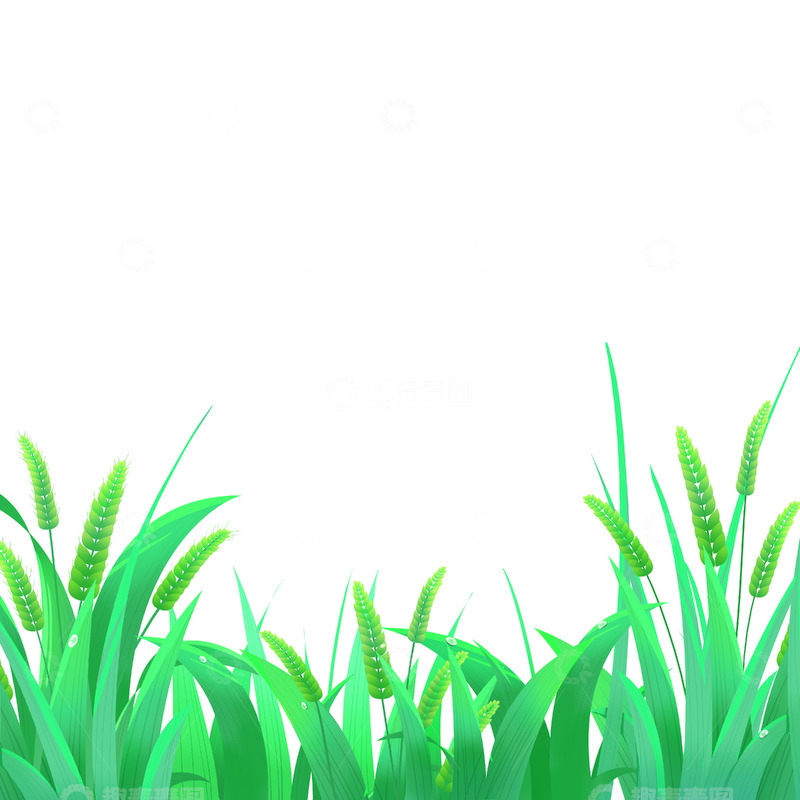 源文件下载【趣麦麦图】夏季小满麦穗稻谷