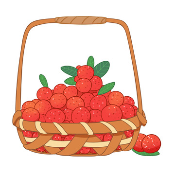 夏季丰收一篮子杨梅