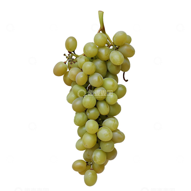 高清大图下载【趣麦麦图】青葡萄水果果子