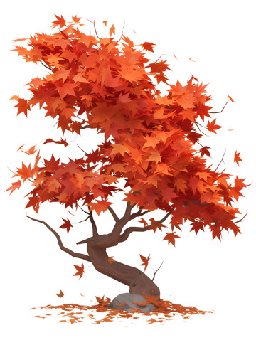 枫叶秋天落叶枫树2
