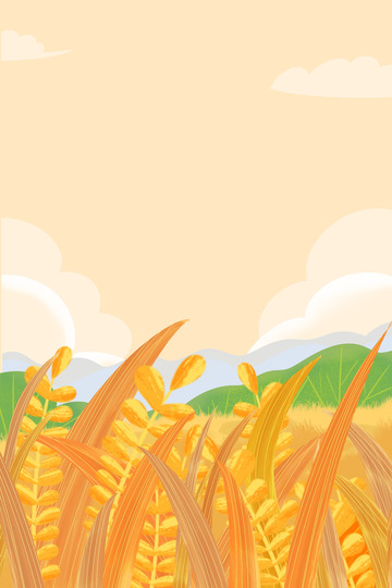 夏季节气金黄的麦田风景插画