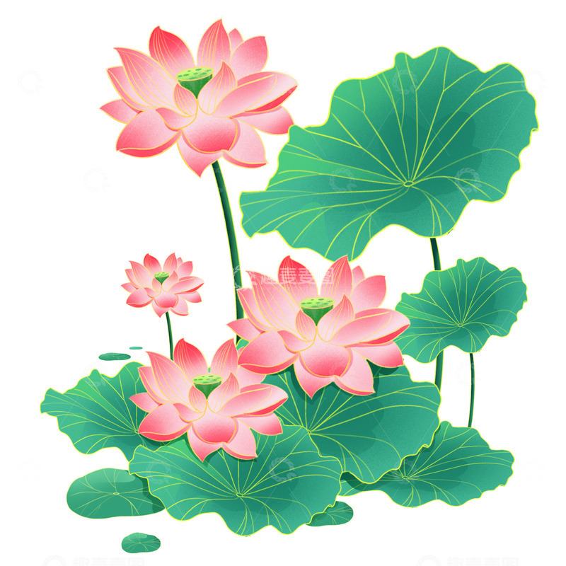 源文件下载【趣麦麦图】夏天国潮描边荷花植物花朵元素