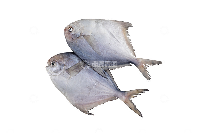 高清大图下载【趣麦麦图】海鲜银鲳鱼元素