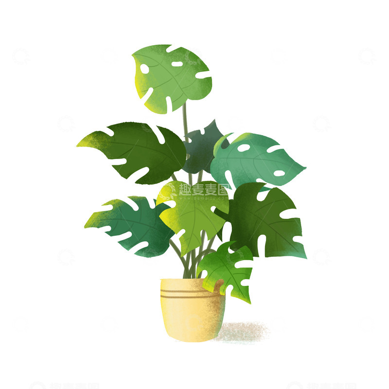 源文件下载【趣麦麦图】绿色植物盆栽