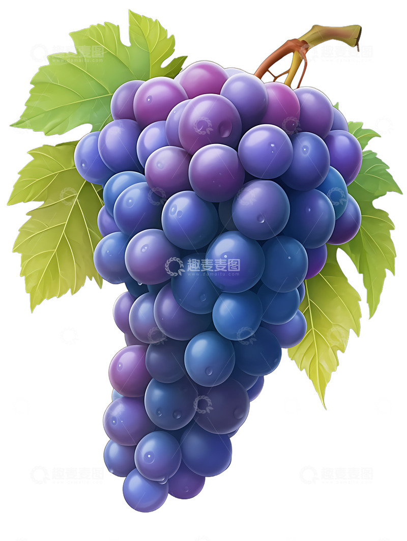 高清大图下载【趣麦麦图】葡萄卡通水果图标