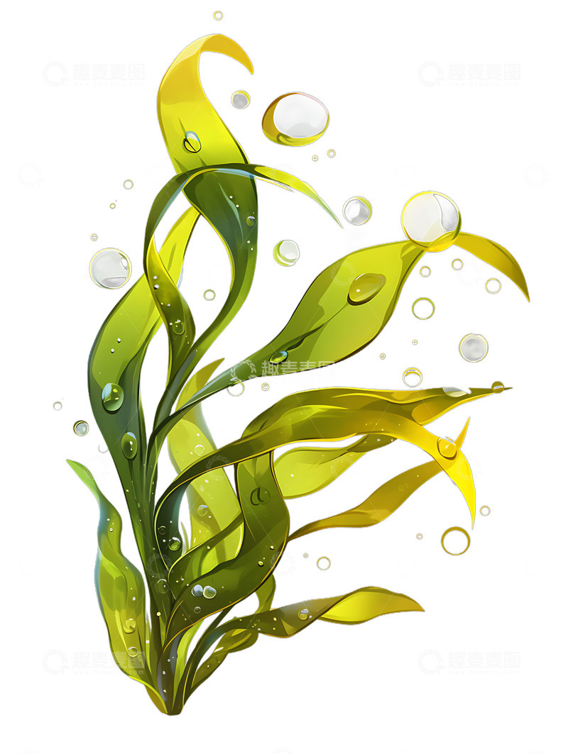 高清大图下载【趣麦麦图】海藻海草插画手绘动漫
