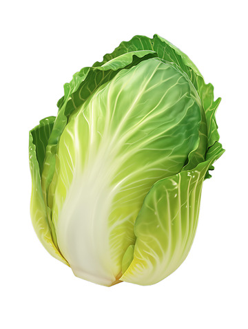 大白菜卡通图标2
