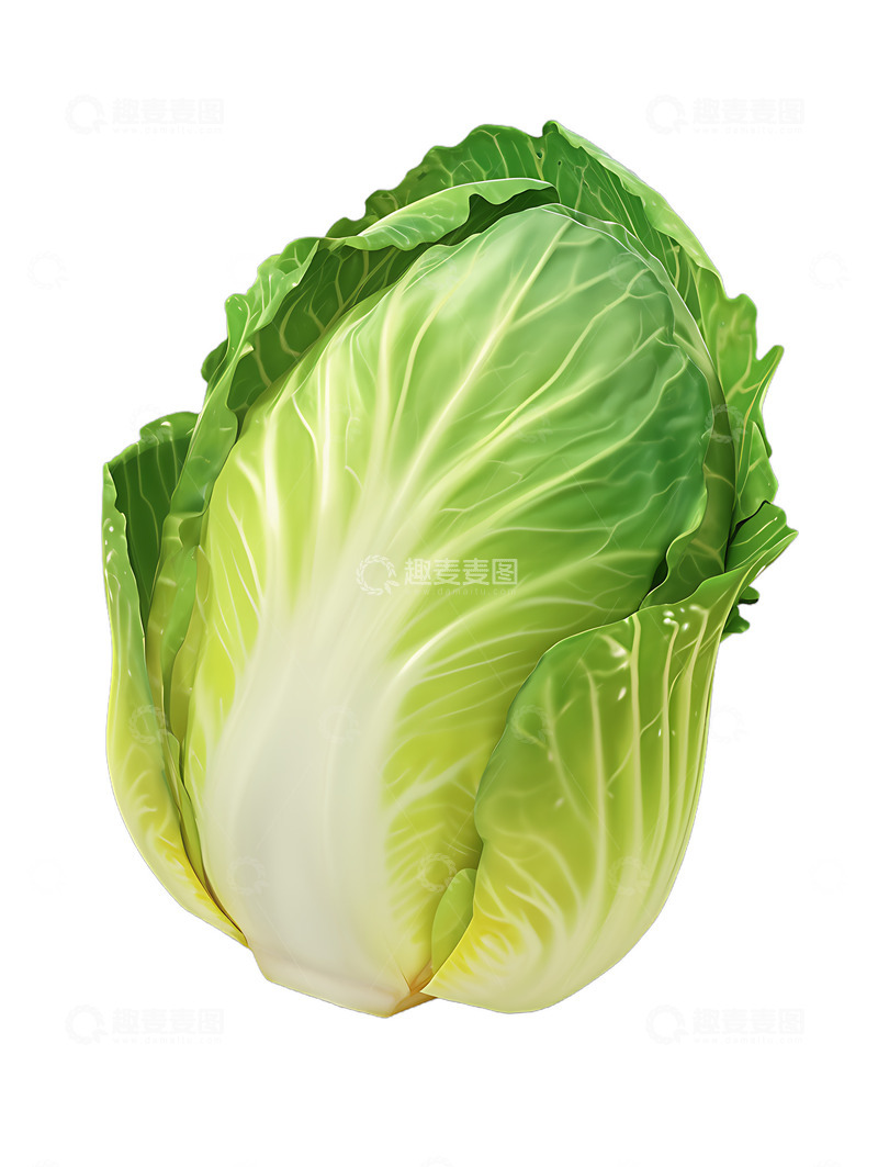 高清大图下载【趣麦麦图】大白菜卡通图标2