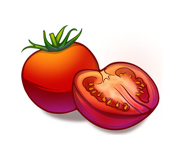 西红柿手绘插画