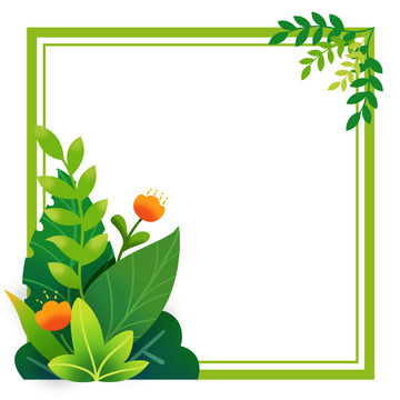 手绘植物边框