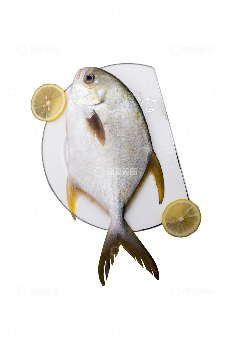 高清大图下载【趣麦麦图】海鲜大金鲳鱼