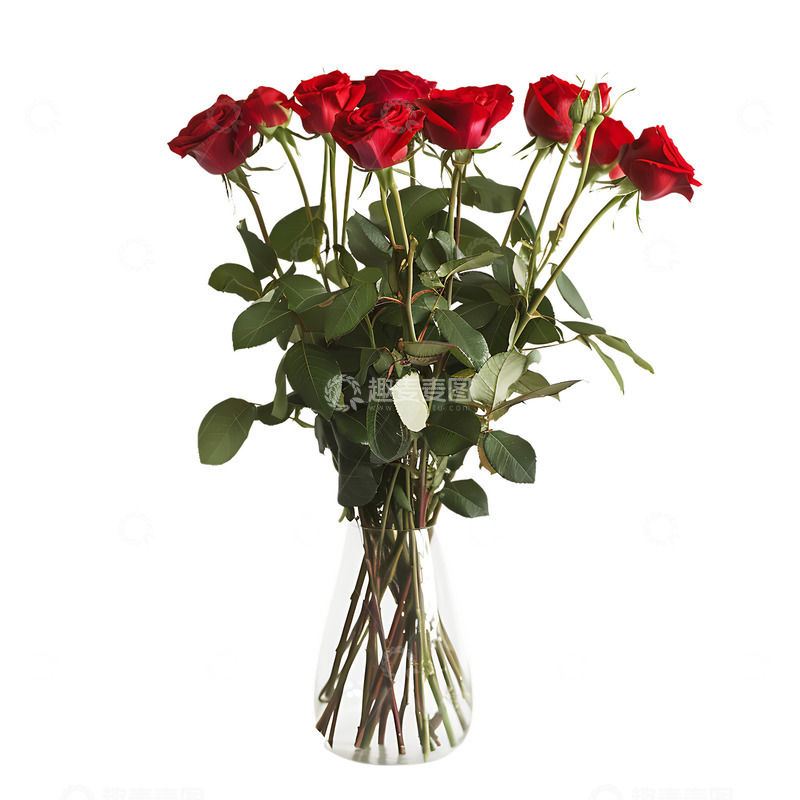 高清大图下载【趣麦麦图】玫瑰花摄影免扣元素花瓶