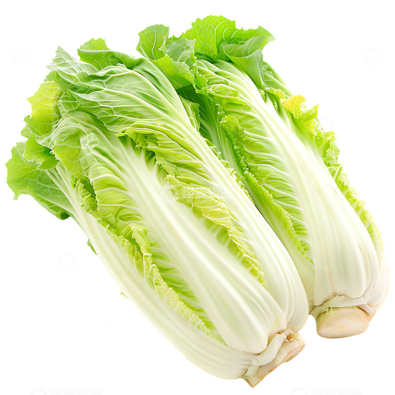 高清大图下载【趣麦麦图】两根大白菜蔬菜瓜果