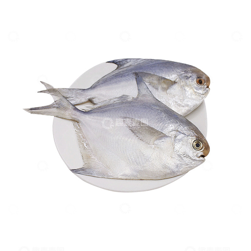 高清大图下载【趣麦麦图】一盘大银鲳鱼