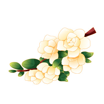 矢量手绘栀子花花朵元素