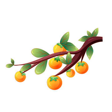 矢量手绘柿子秋天元素