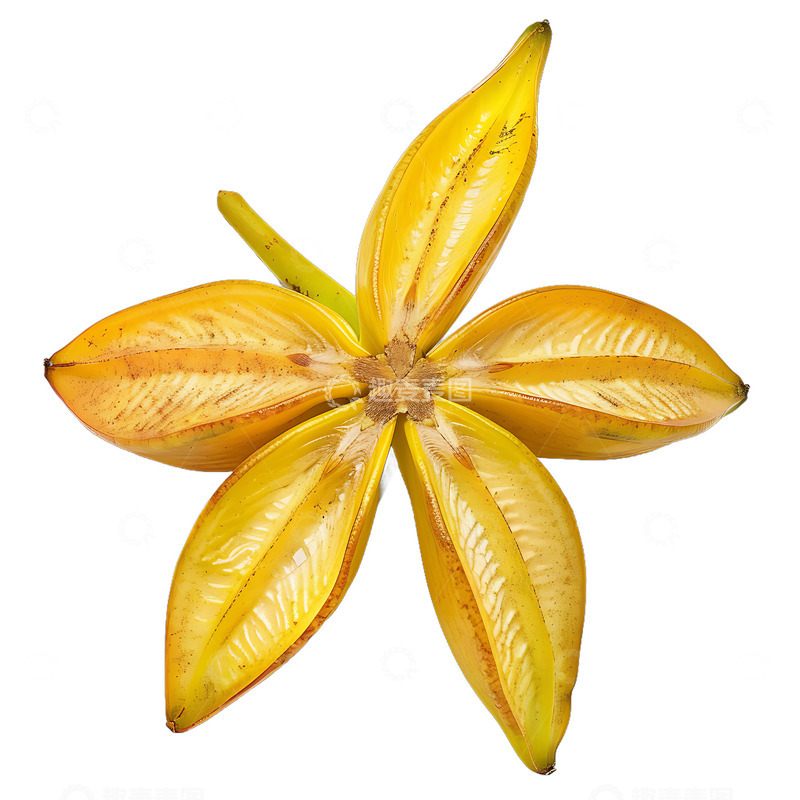 高清大图下载【趣麦麦图】杨桃水果果实