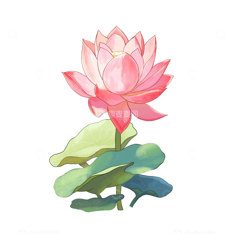 源文件下载【趣麦麦图】荷花莲花夏季花朵手绘粉色