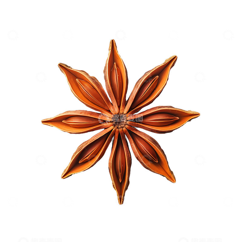 高清大图下载【趣麦麦图】八角调料卤菜