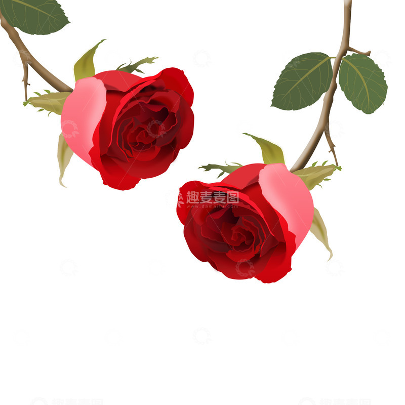 源文件下载【趣麦麦图】七夕节玫瑰花礼物装饰元素