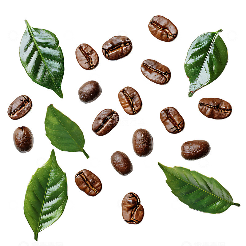高清大图下载【趣麦麦图】咖啡豆子咖啡叶子