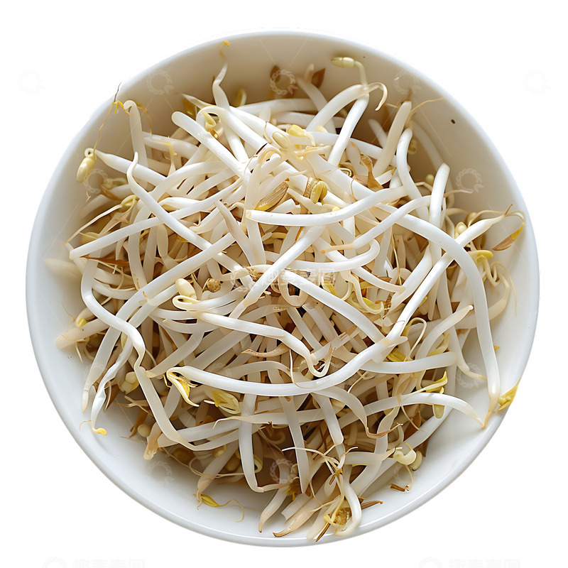 高清大图下载【趣麦麦图】豆芽一碗生豆芽蔬菜美食
