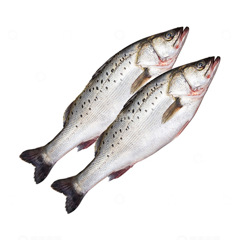 高清大图下载【趣麦麦图】两条大鲈鱼美食