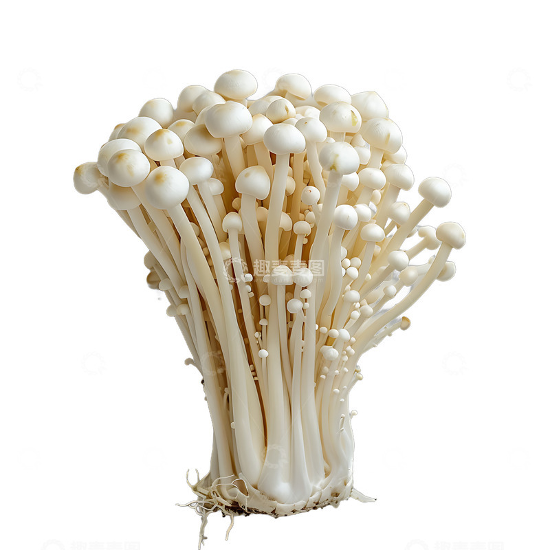 高清大图下载【趣麦麦图】金针菇蘑菇植物菌类美食