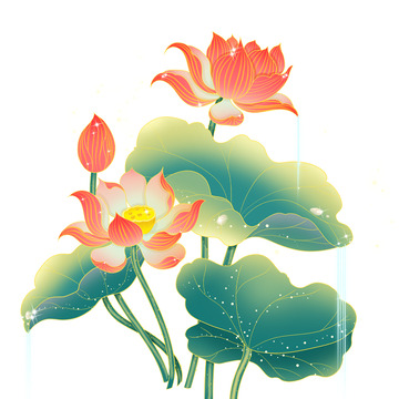 星光荷花流水