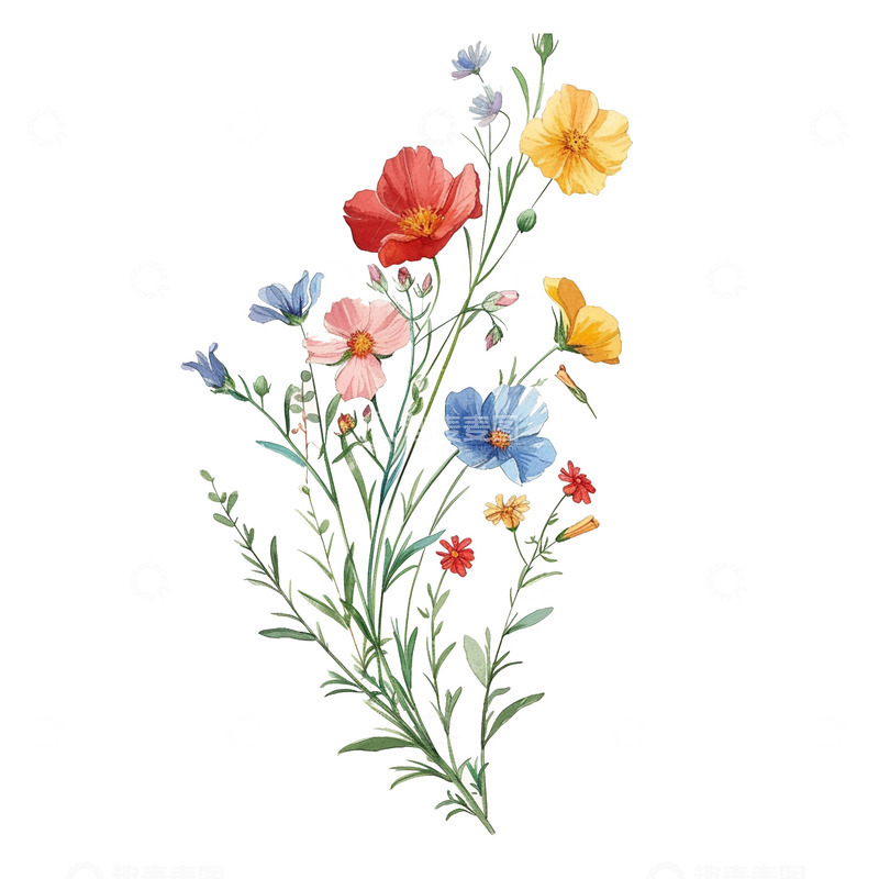 高清大图下载【趣麦麦图】多颜色美丽的小花