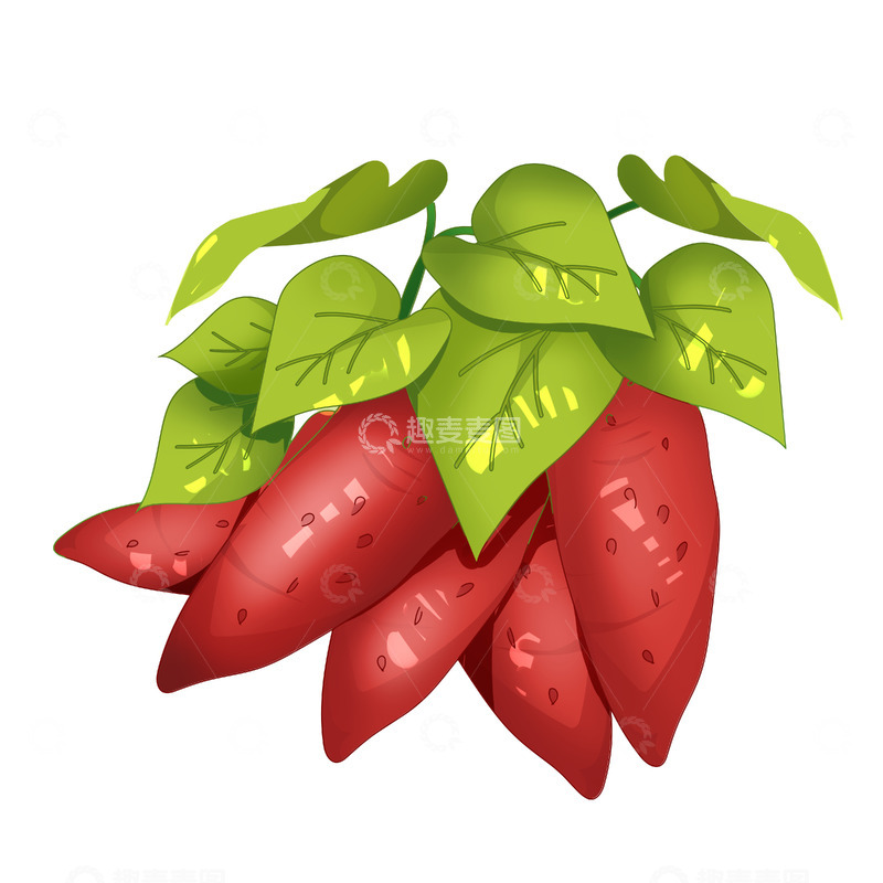 源文件下载【趣麦麦图】手绘红薯水果元素